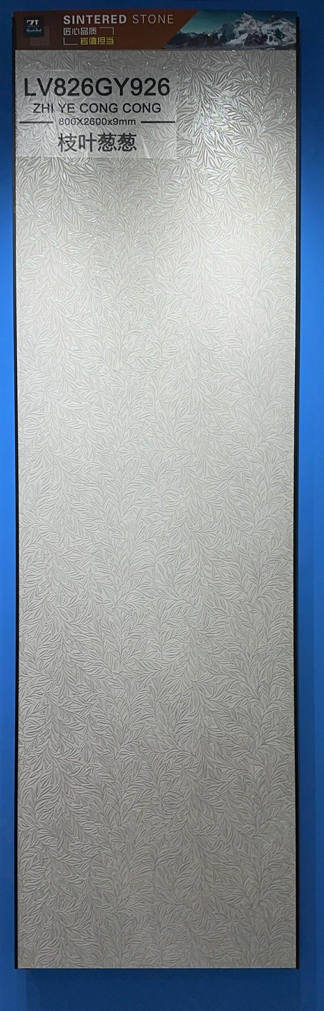 ZHI YE CONG CONG - صورة حقيقية