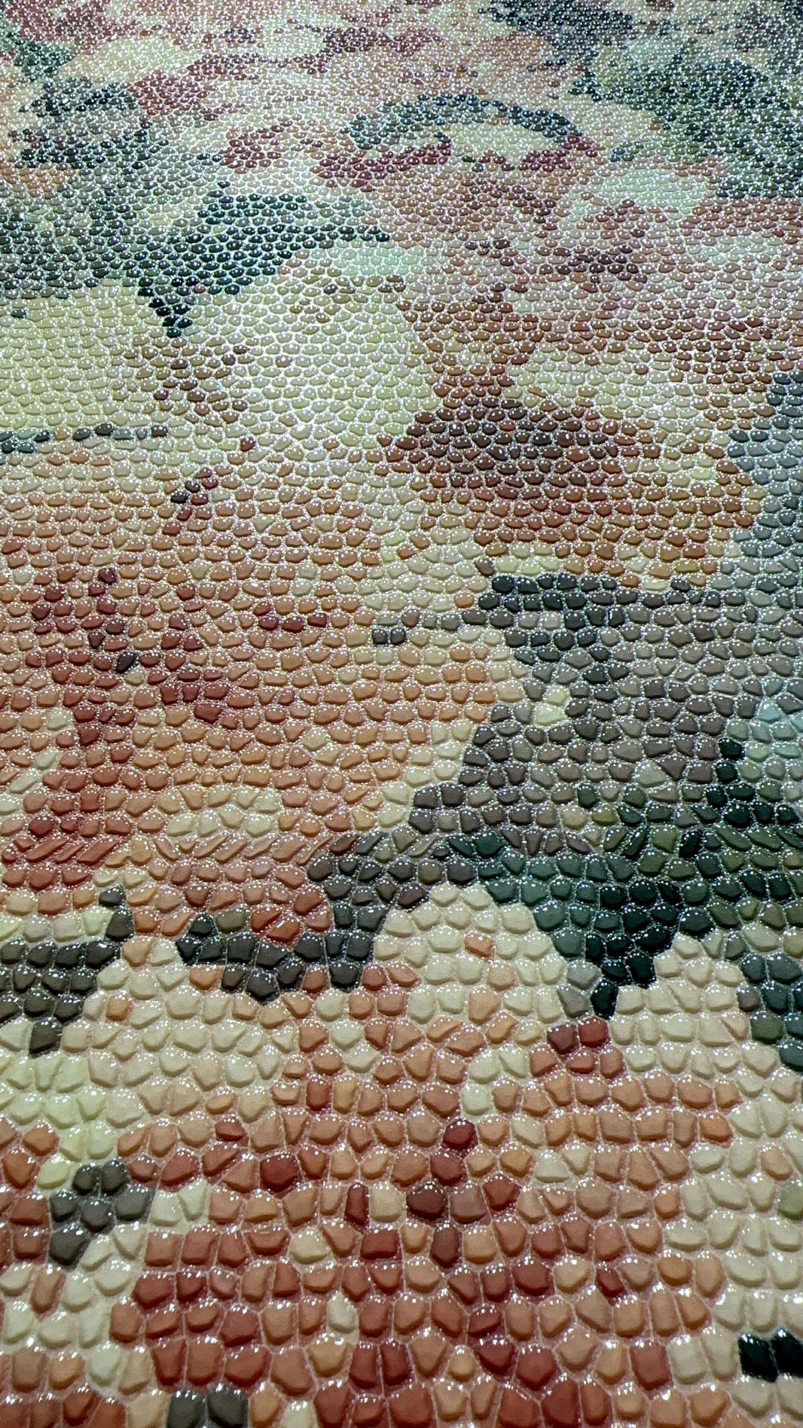 SHENG XIA MA SAI KE - صورة حقيقية