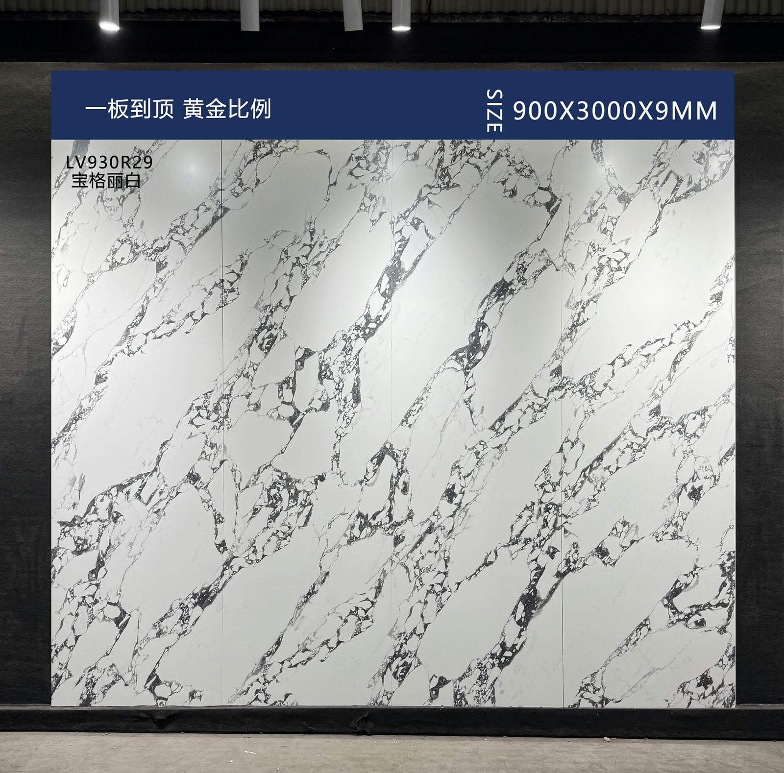 BAO GE LI BAI - real photo