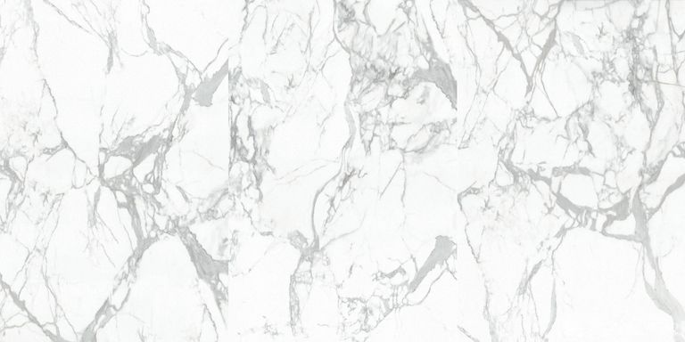 天山白