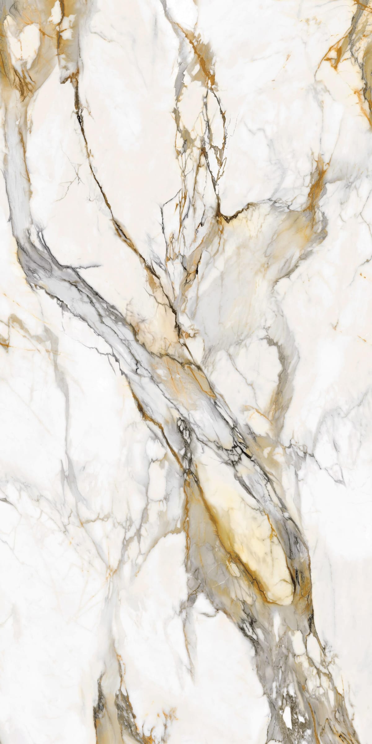 HUO FENG HUANG - element view