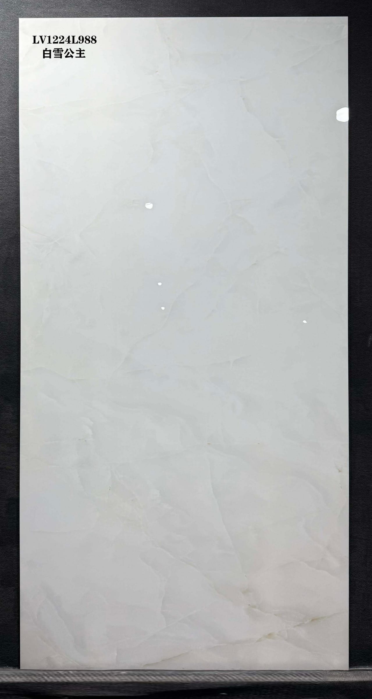 BAI XUE GONG ZHU - صورة حقيقية
