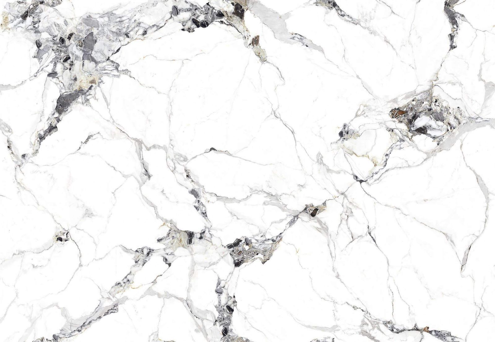 SHENG XIA JING LING - element view