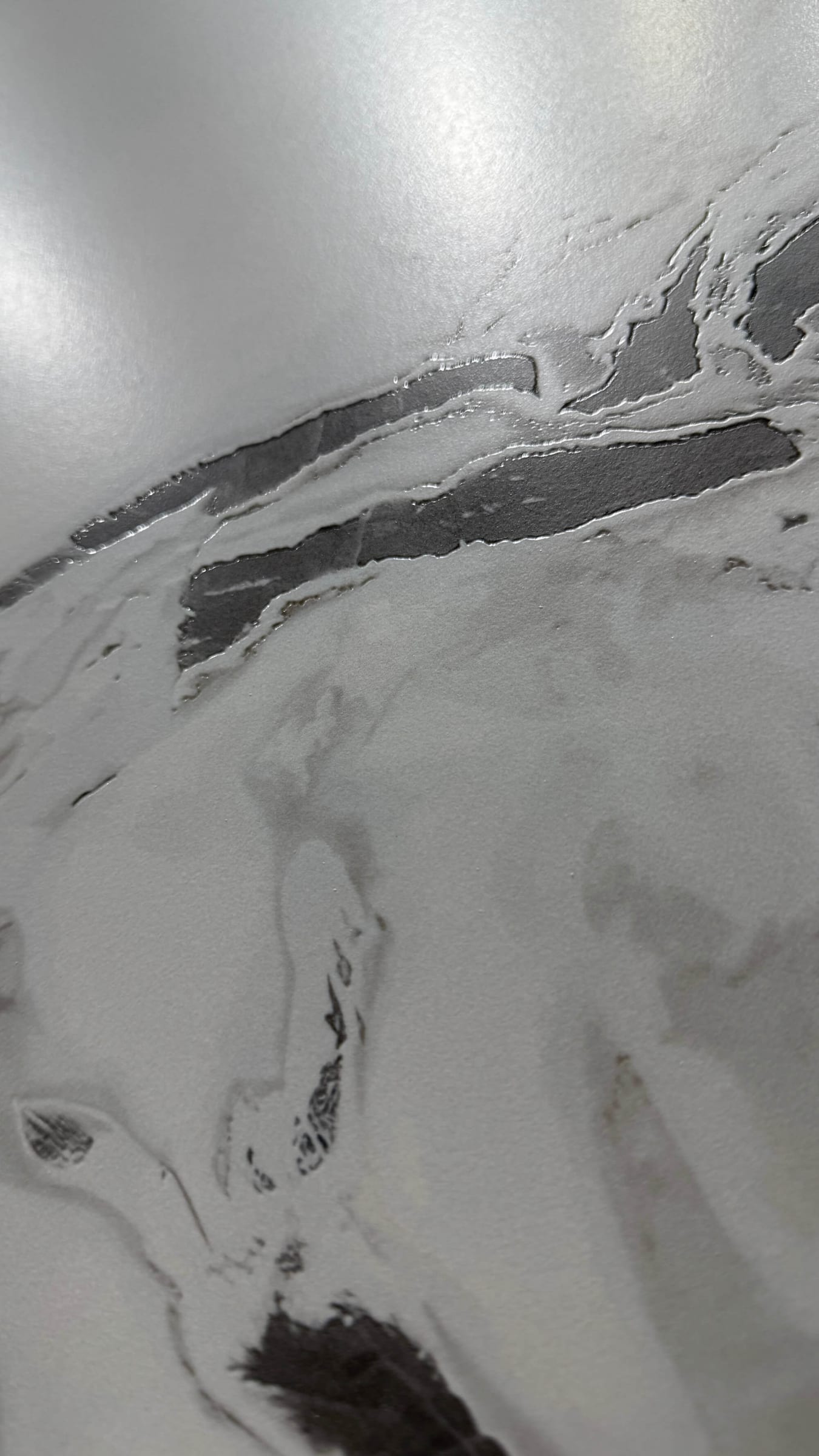 JI PIN FEN DI BAI - real photo