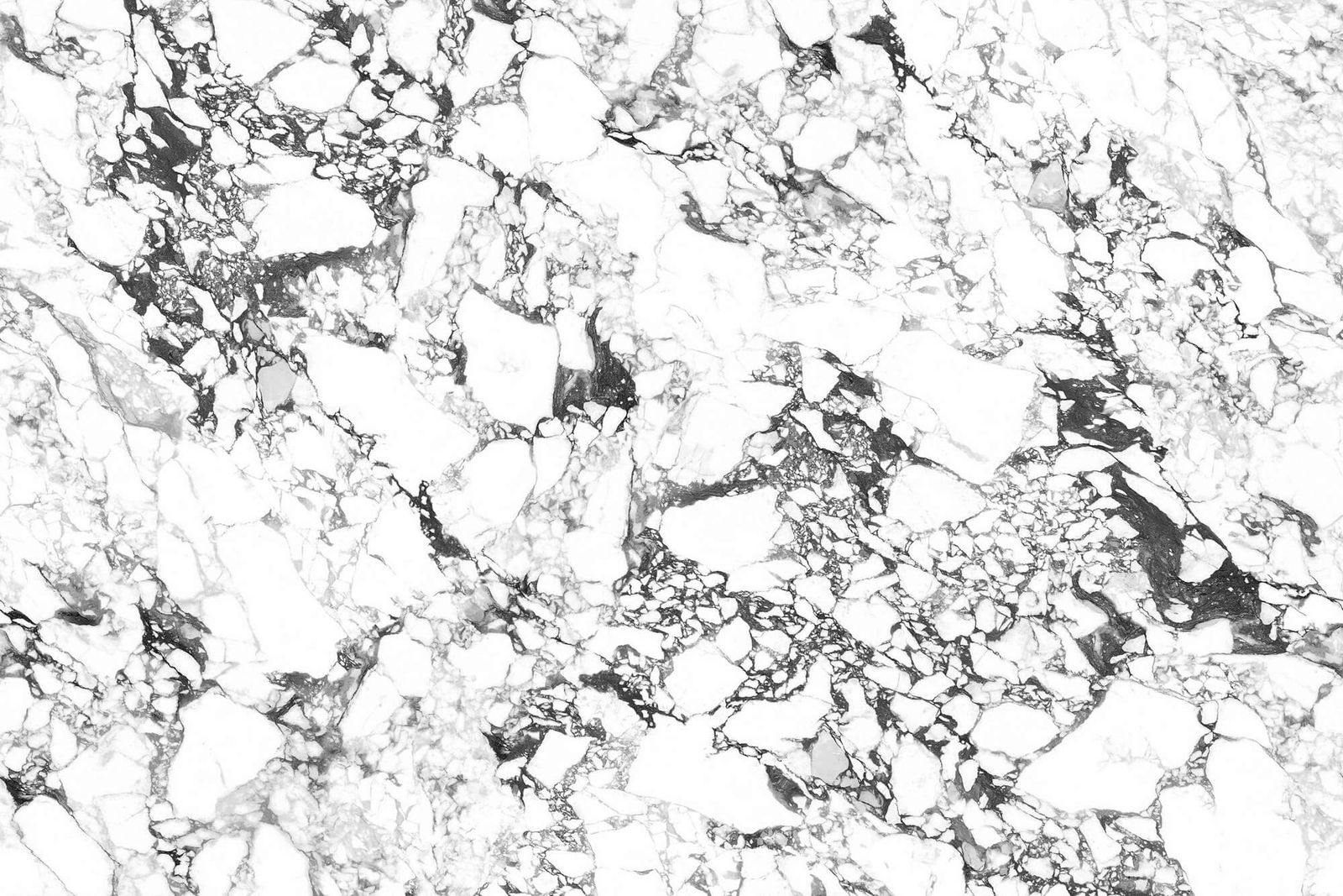 XIN BAO GE LI BAI - element view