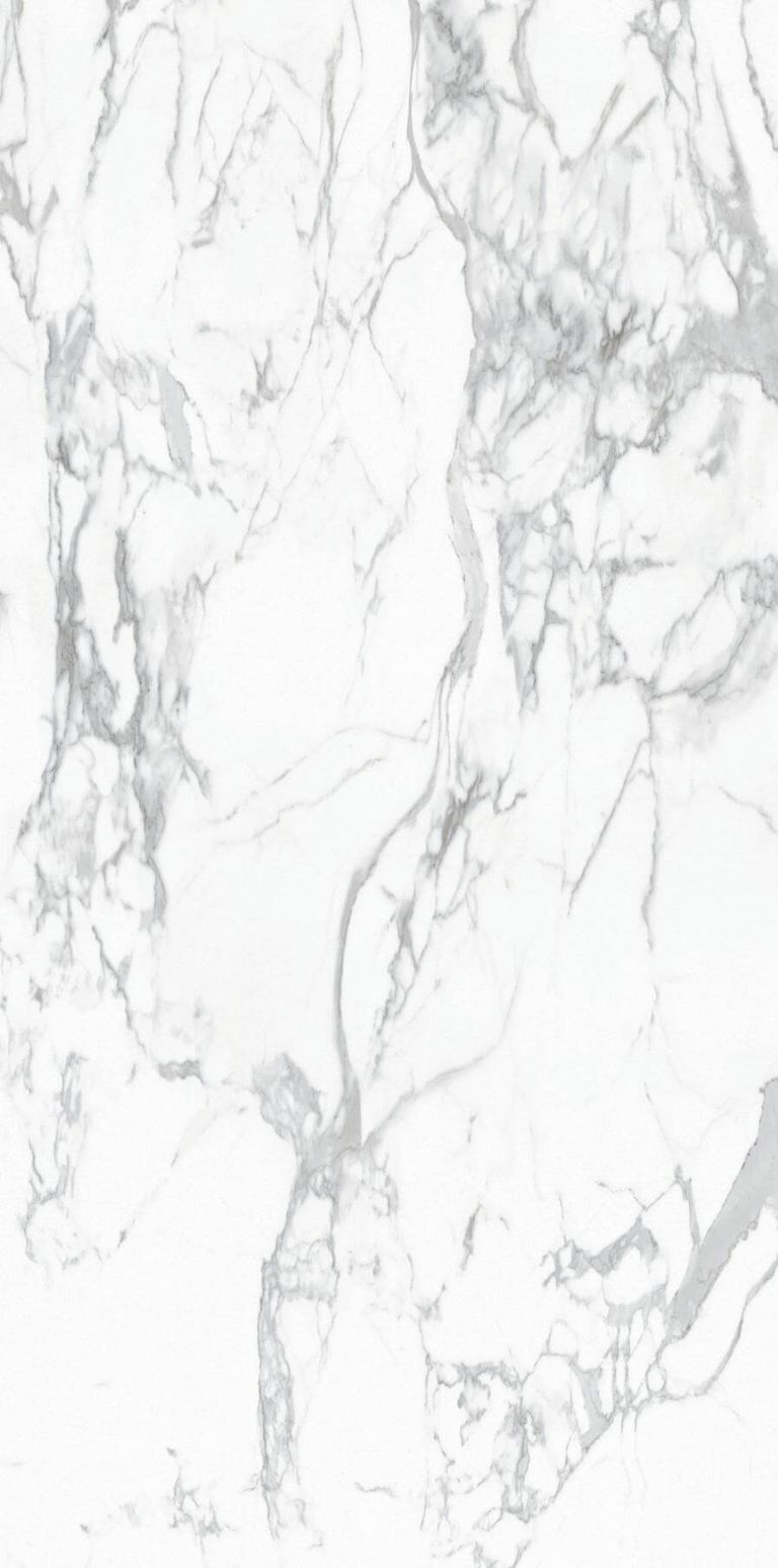 TIAN SHAN BAI
