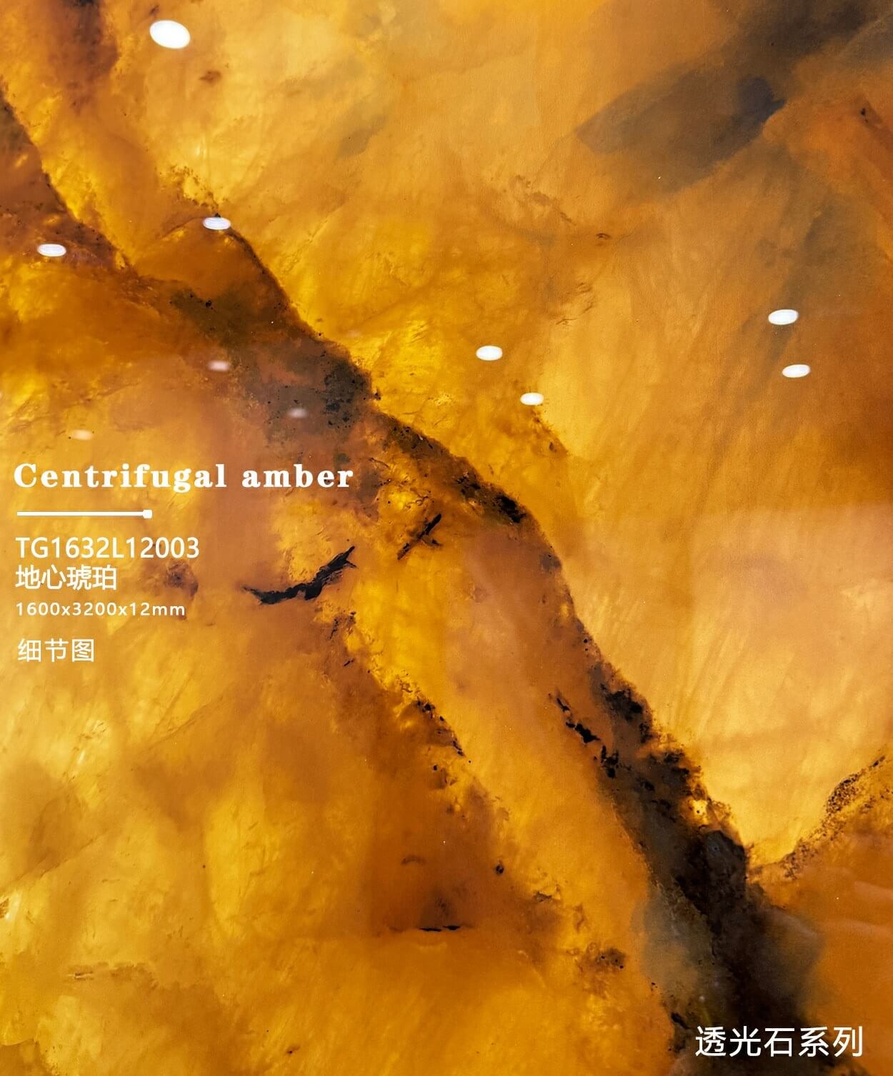 DI XIN HU PO - صورة حقيقية