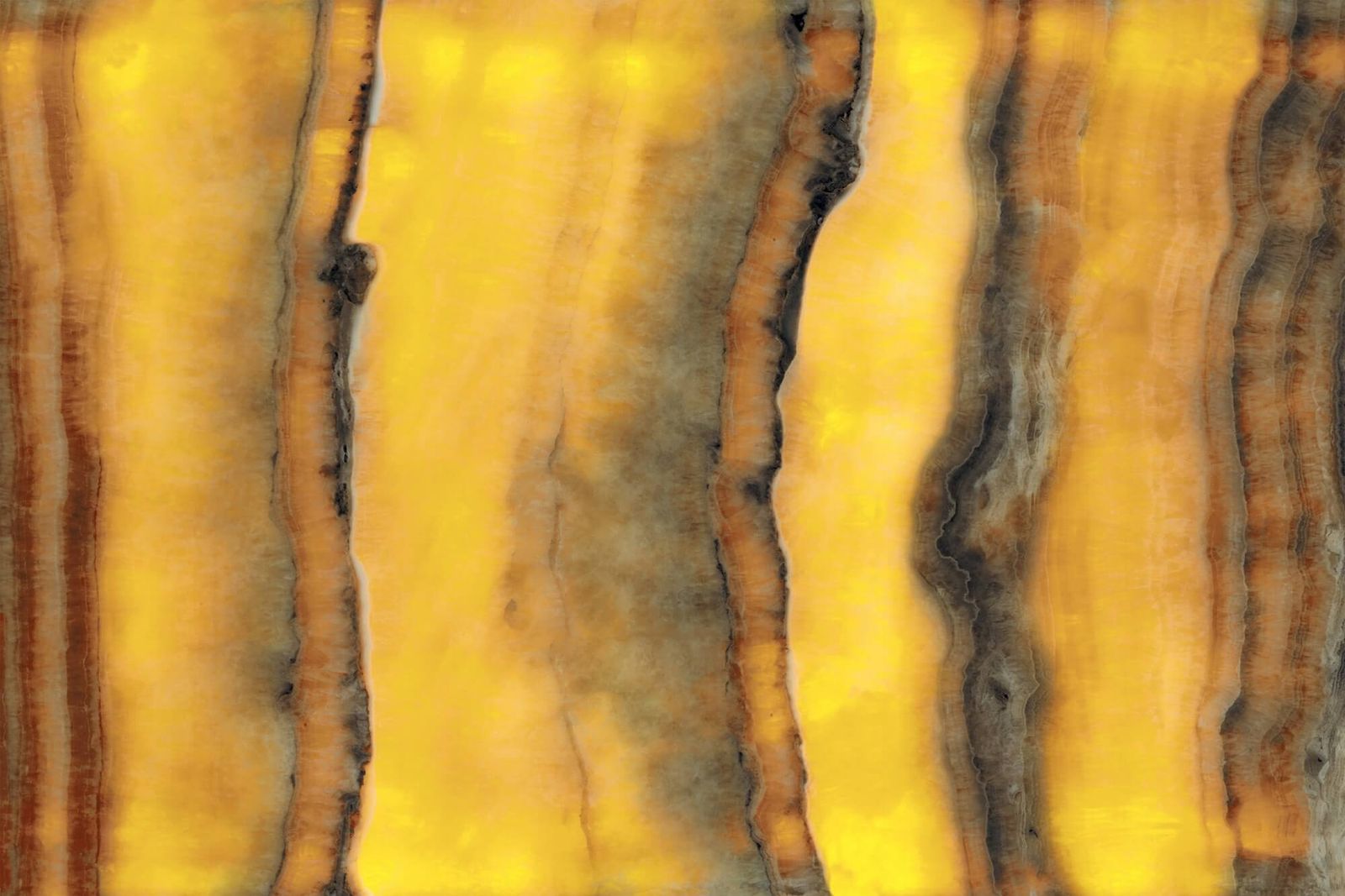 JIN JIN HE SHA - element view