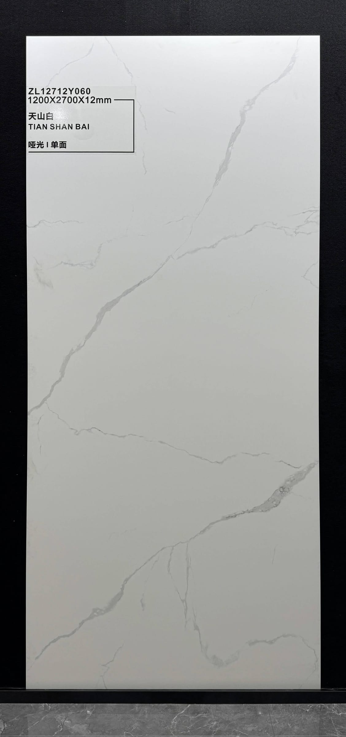 TIAN SHAN BAI - صورة حقيقية