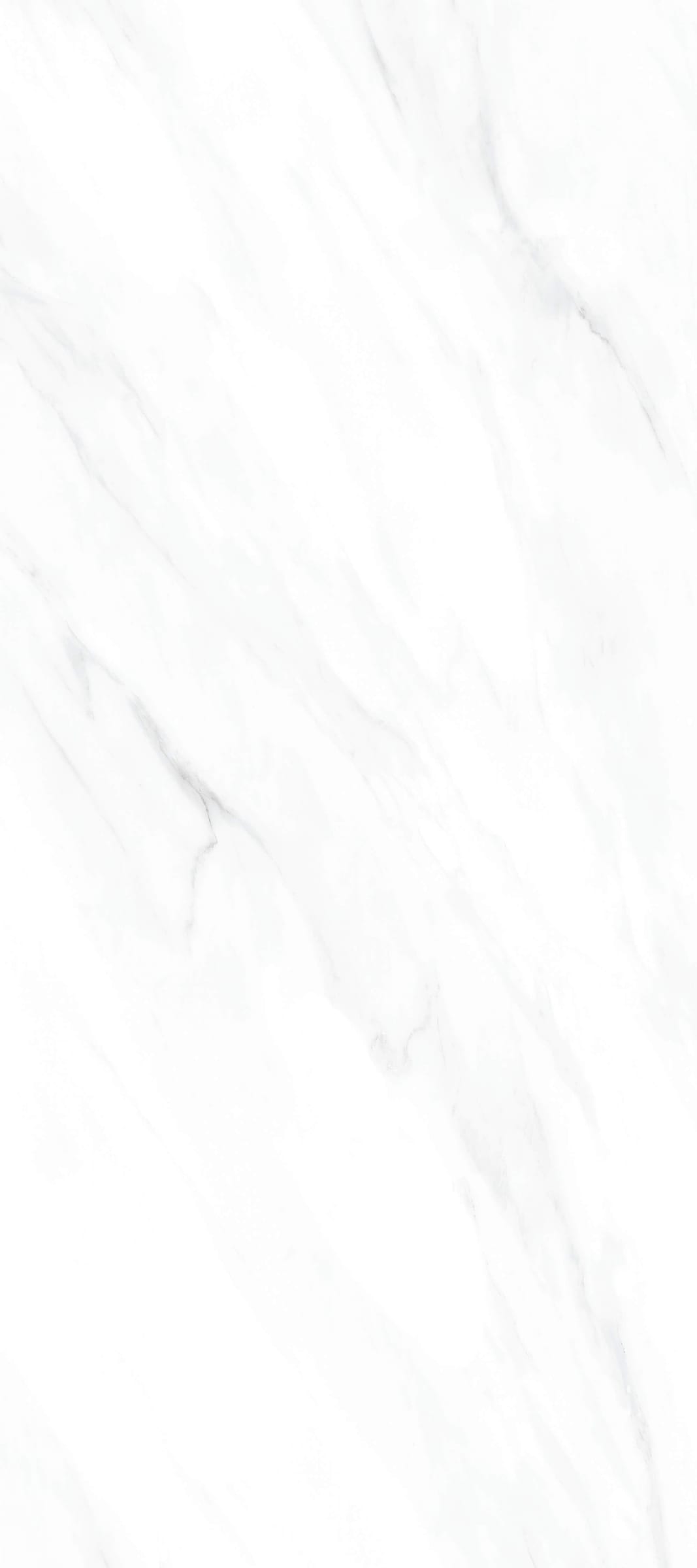 JUE SHI BAI - element view